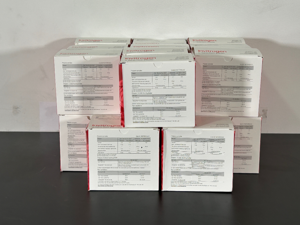 Image of Lot Of Invitrogen Bolt 4-12% Bis-Tris Plus Protein Gels